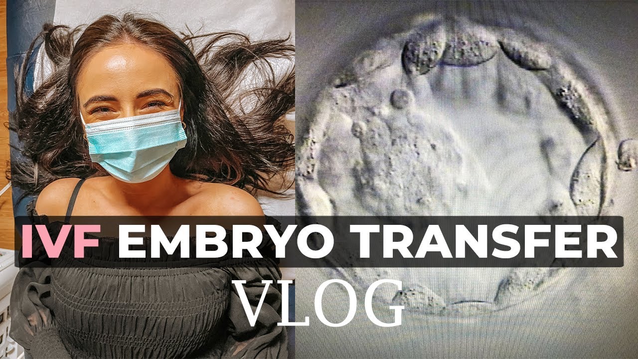Видеоблог о переносе эмбрионов | Беременность с помощью ИКСИ — ЭТО РАБОТАЕТ!