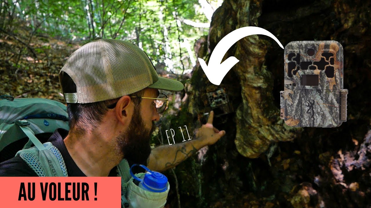 ON NOUS A VOLÉ DEUX CAMERAS ! SECRETS DE FORÊT EP 12