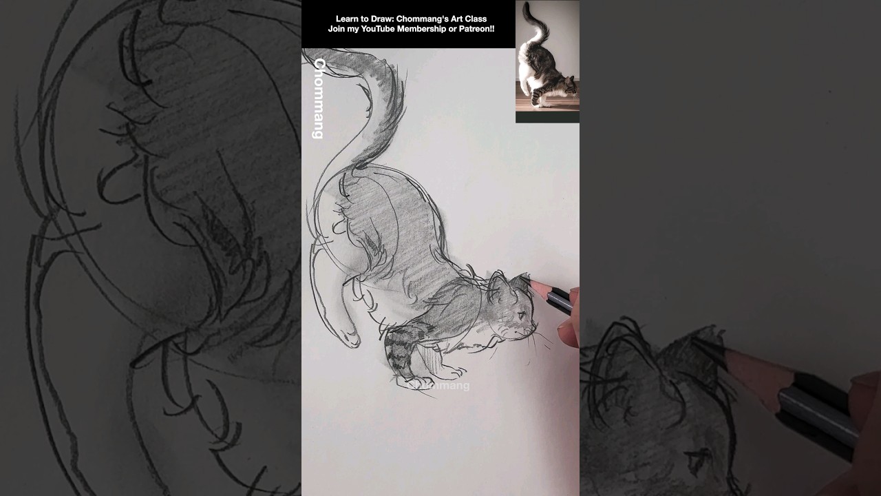 How to draw a cat 🐈