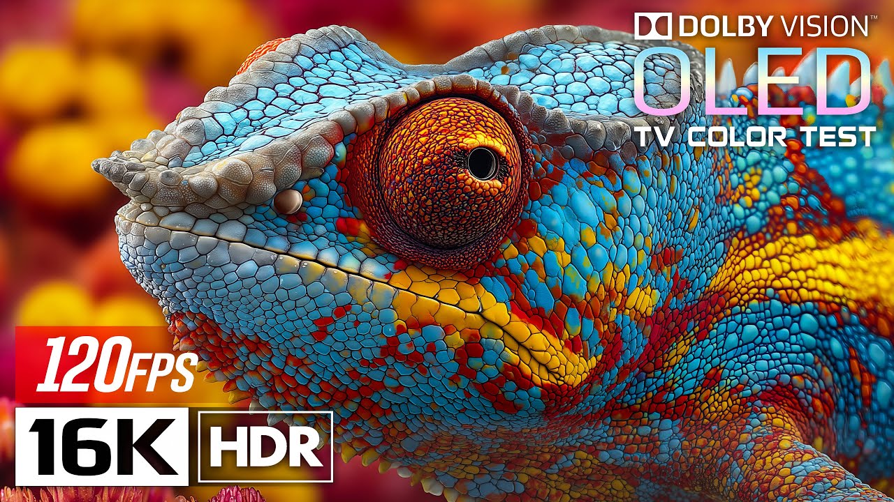 Color That Breathes — Dolby Vision in Stunning 16K HDR 120fps