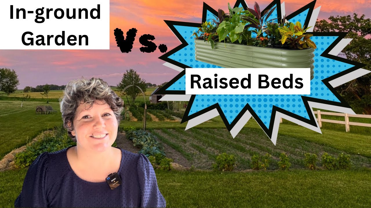 Raised Bed Vs. In-ground Gardens, Unpacking the Pros and Cons!