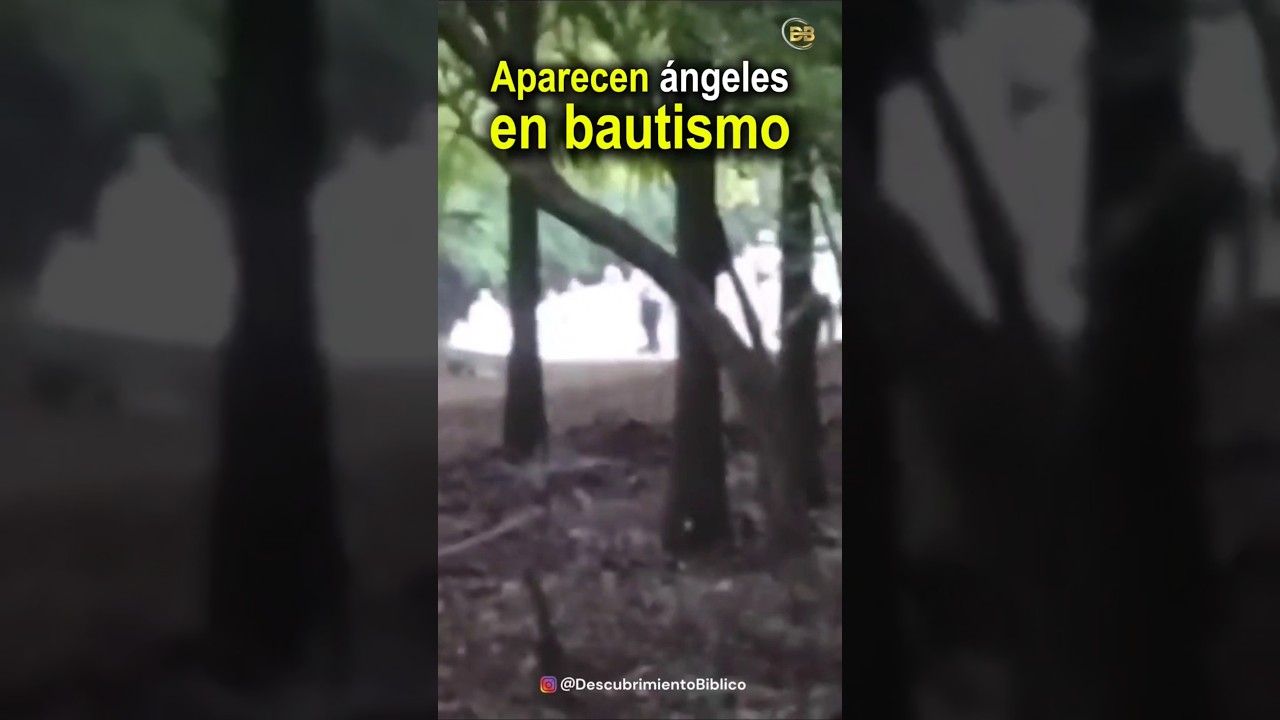 Aparecen Ángeles en Bautismo