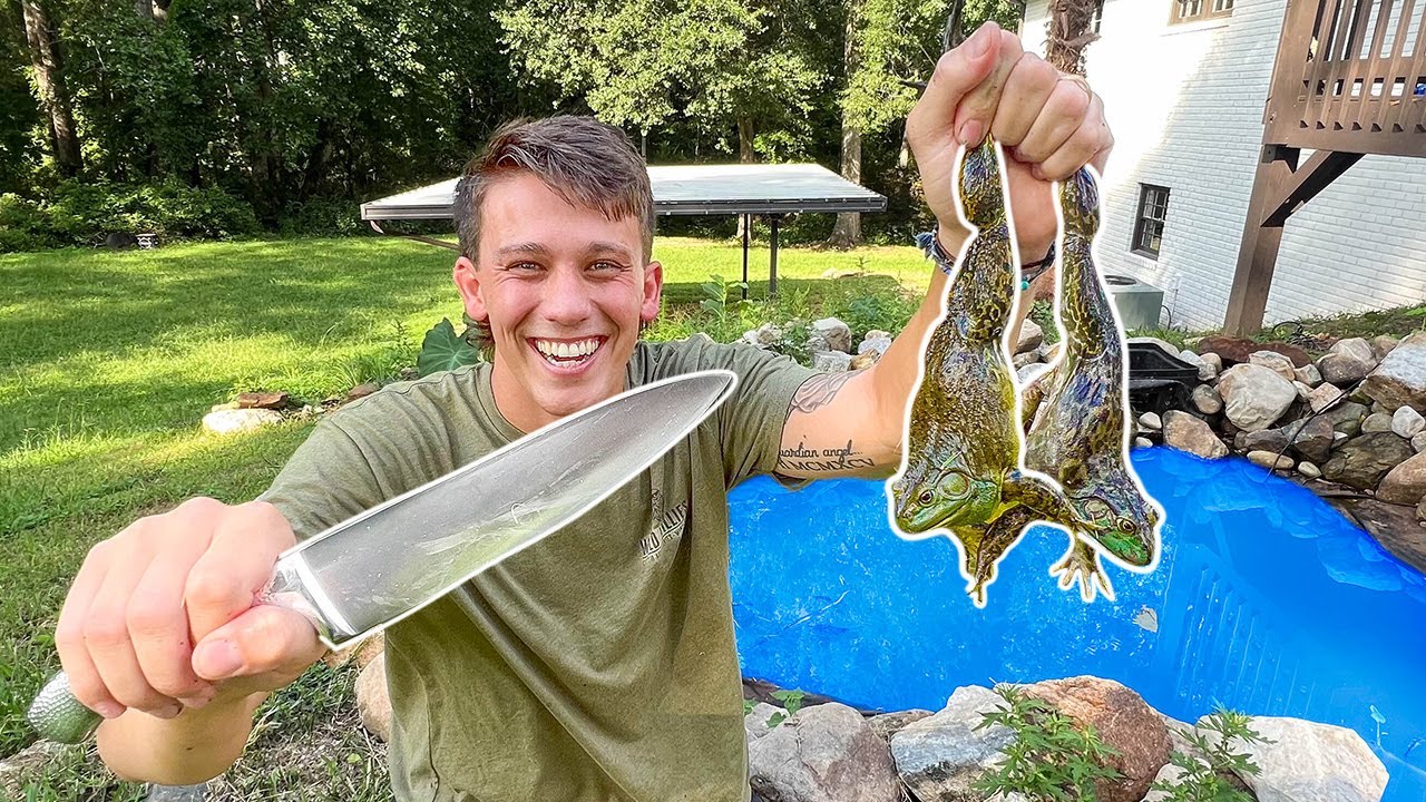 GIANT Bullfrog in Tiny Backyard Pond! (Catch Clean Cook)