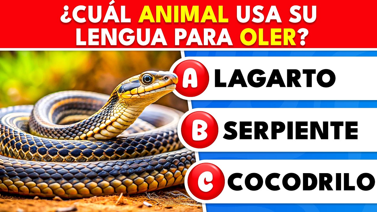 ¡El quiz definitivo de animales! 🦁 40 preguntas DIFÍCILES: ¡solo los expertos aprueban!