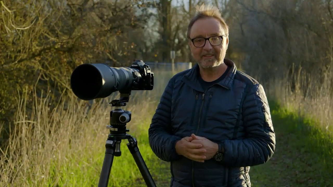 Photographing Birds in Flocks
