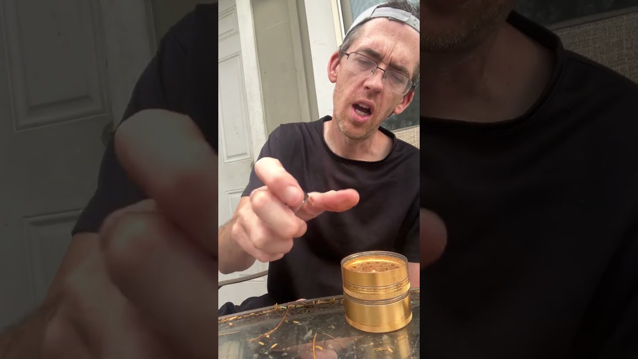 Hypnotik strain review 