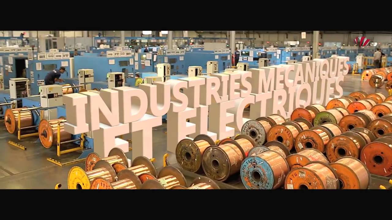 Tunisia Business is made Here ..