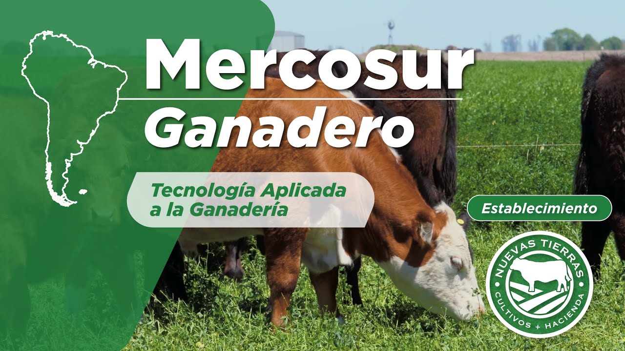 Mercosur Ganadero, Tecnolog&iacute;a aplicada a la Ganader&iacute;a. Nuevas Tierras S.A. - Farmquip