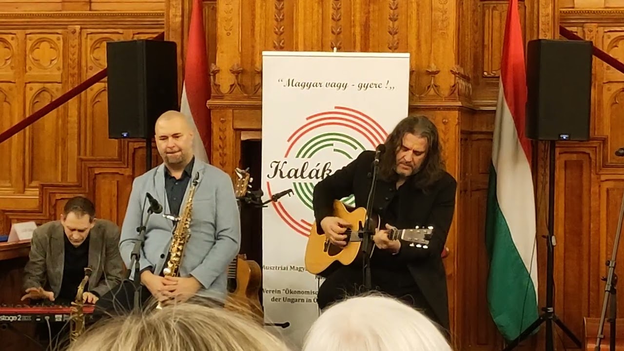 Vadkerti Imre koncertje a Kaláka-Club konferenciájának a végén a Parlamentben (részlet)