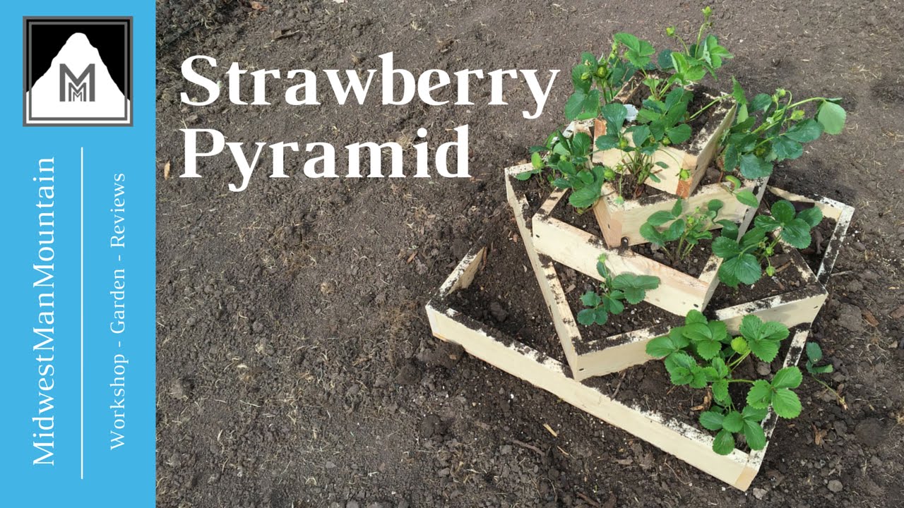 Vertical Gardening - Strawberry Pyramid