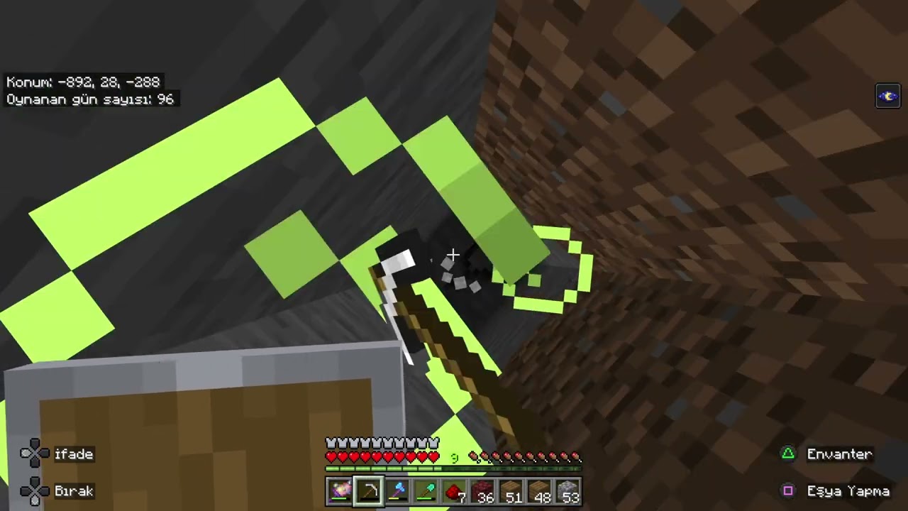 Minecraft 5 gün