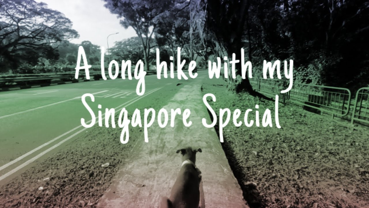 [Stylogeeklife] Hiking with dog in Singapore - 3 hour walk route