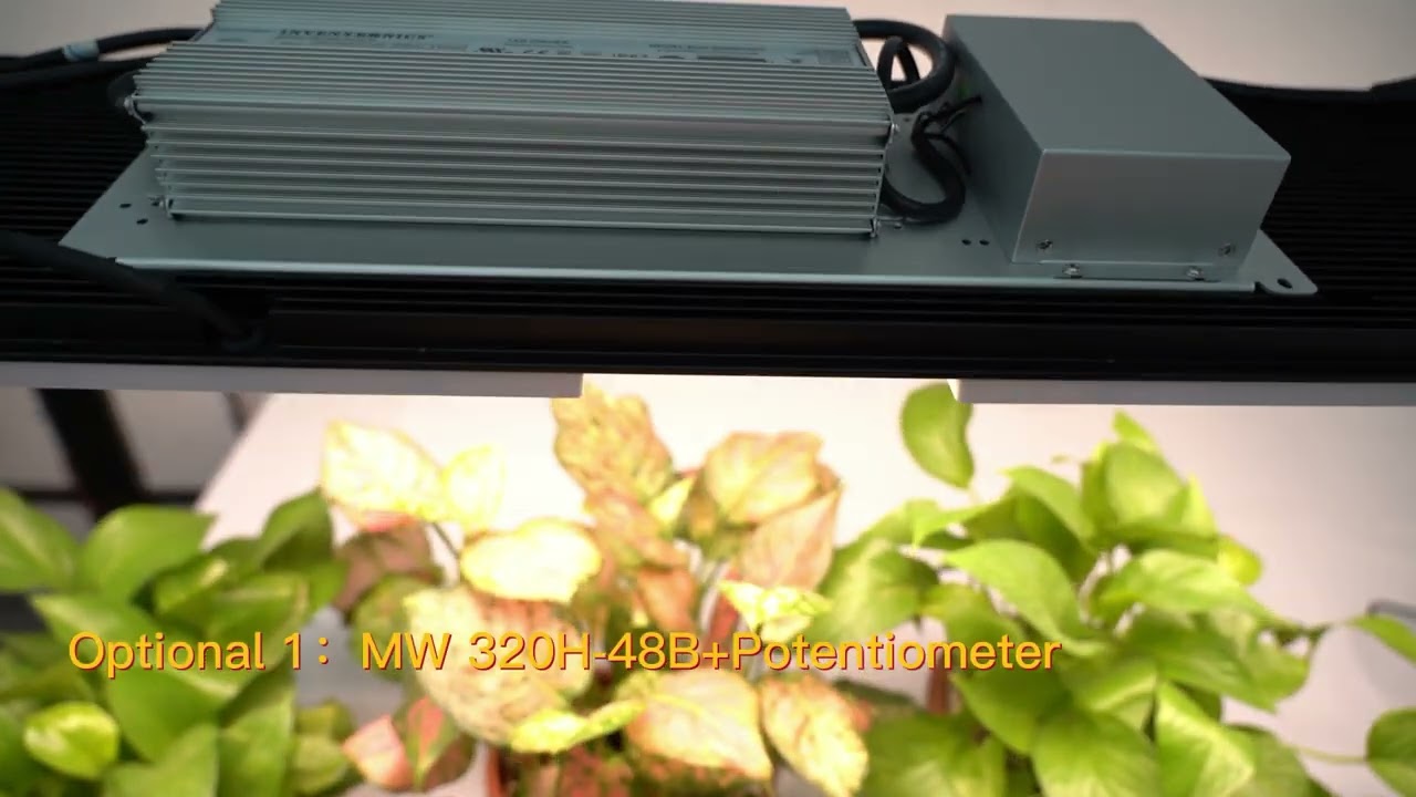 MEIJIU 320W LM301H QUANTUM BOARD