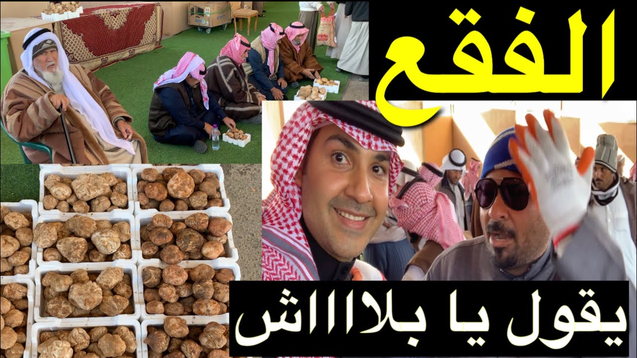 سوق الفقع ( الكمأ ) حفر الباطن أكبر سوق في الخليج