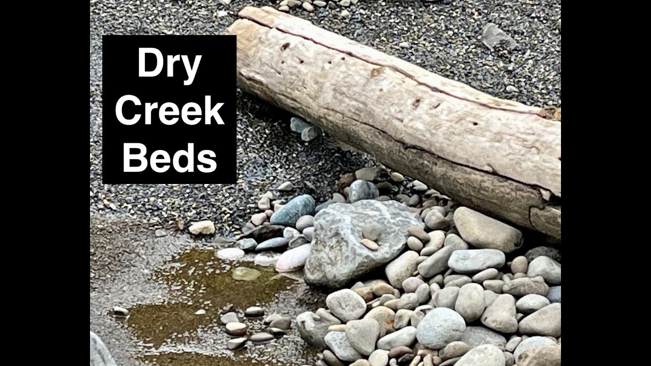 How To Build Your Own Dry Creek Bed and Transform Your Landscape!