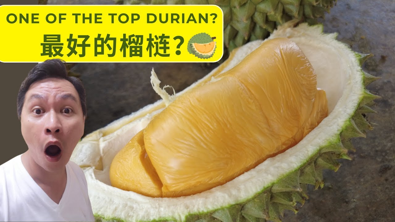 Penang Durian Tour, one of the best durian in Penang? | 槟城榴梿，这是最好吃的榴梿吗？
