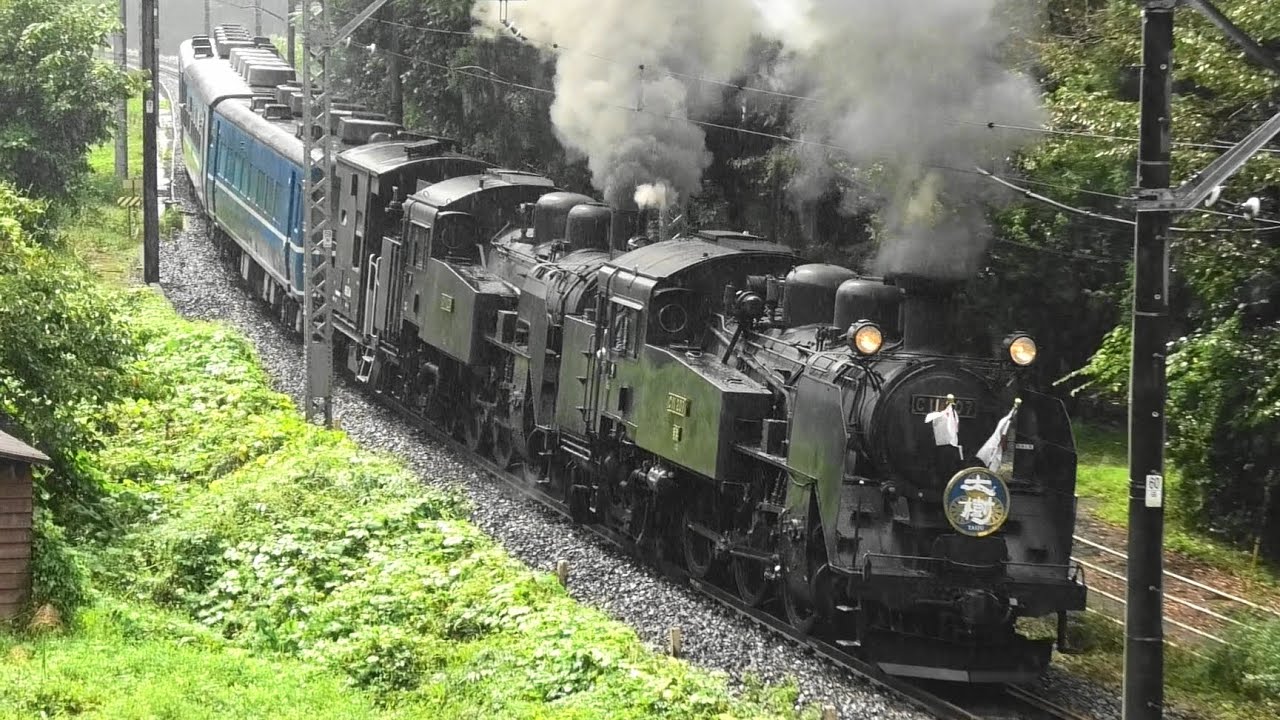 C11 207 + C11 123 SL大樹 重連 2022 9/19