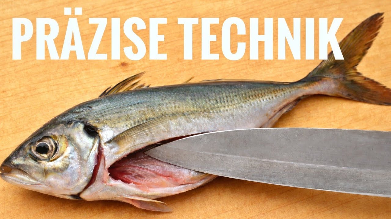 Aji fachgerecht filetieren | Präzise Technik für maximale Frische
