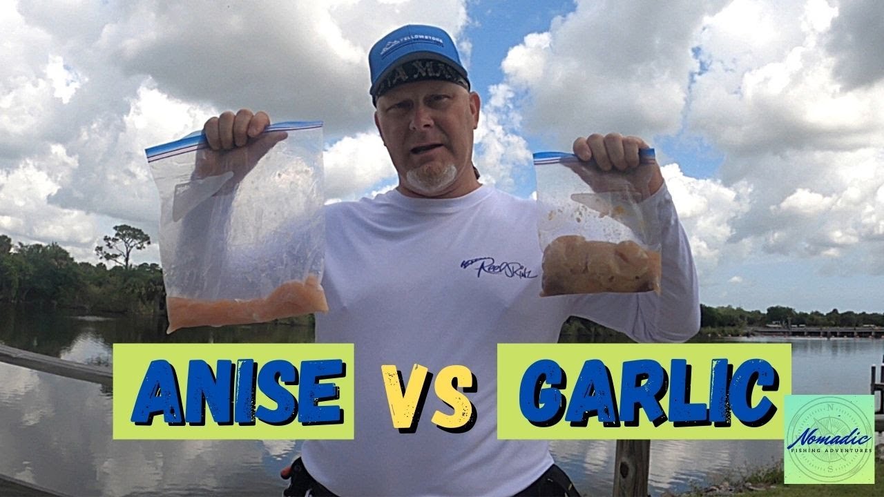 Catfish bait challenge