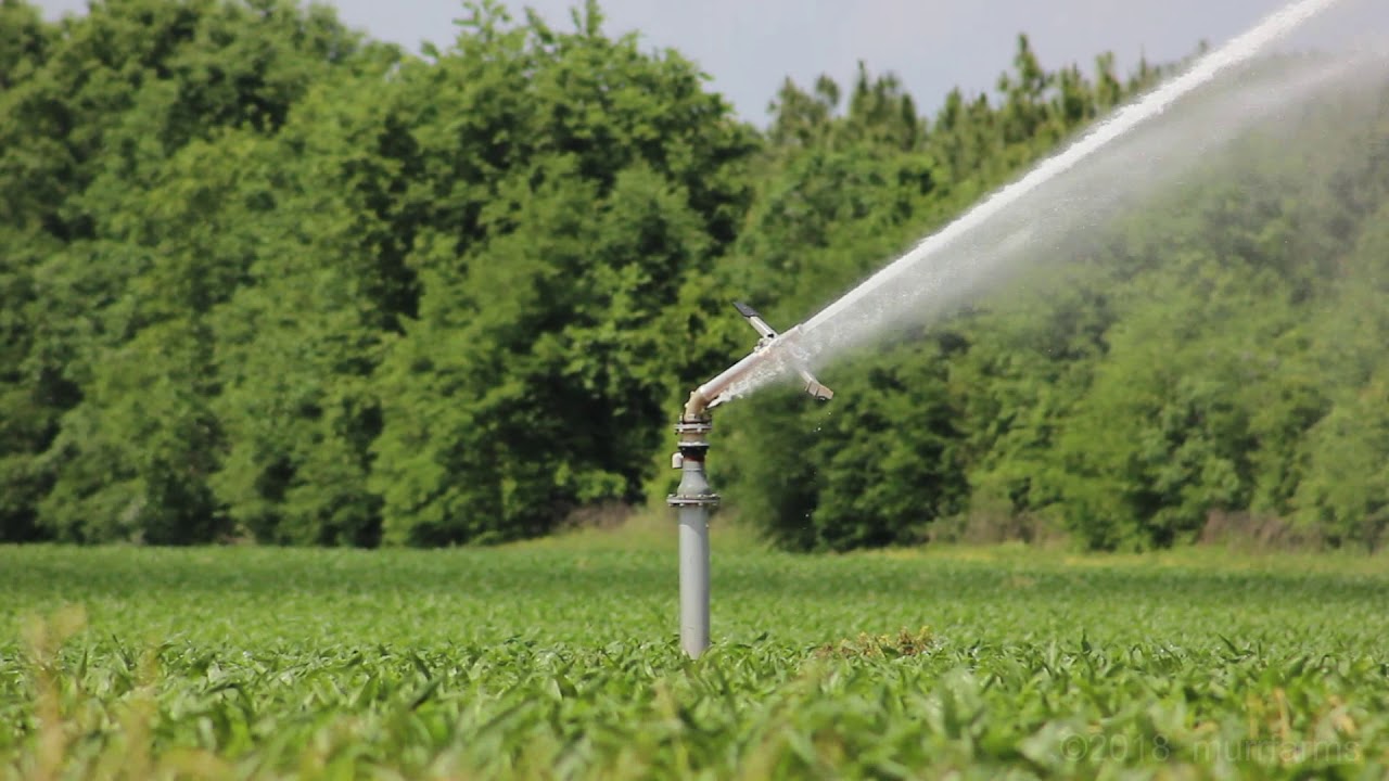 Nelson Irrigation F200 Big Gun sprinkler