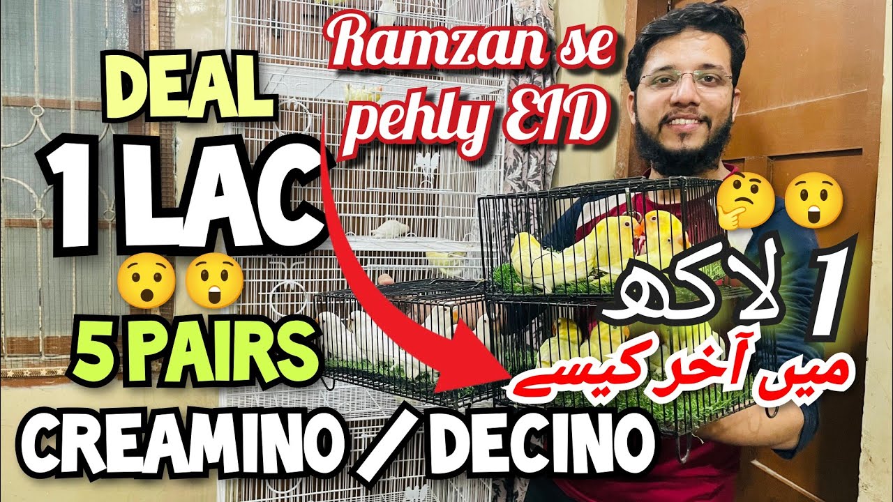 1 Lac me 5 pair Creamino Decino Ramzan se pehly Eid akhir kese 1 lakh mai 😲😯🤔