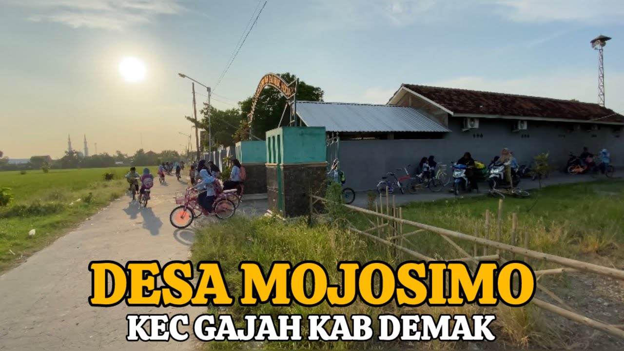 EXPLORE KABUPATEN DEMAK JAWA TENGAH - DESA MOJOSIMO GAJAH DEMAK