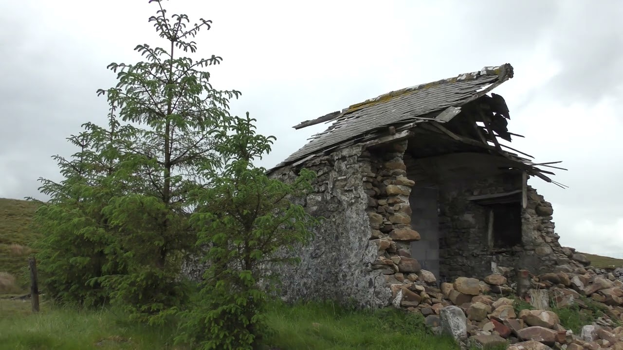 Gayle Beck (nr Ribblehead), Widdale & Askrigg Church - 5/6/2025