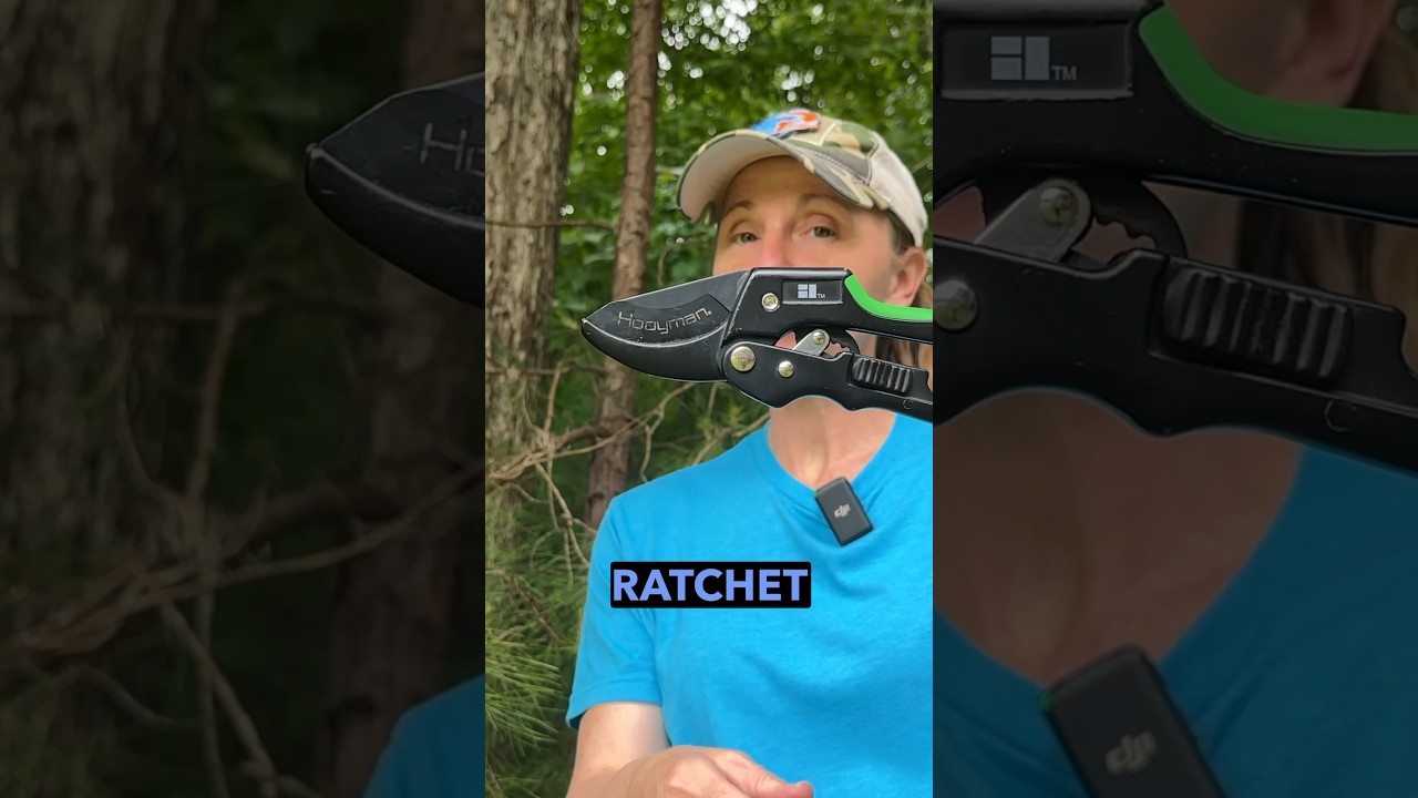 WATCH THESE Hooeyman Ratchet Pruners At Work!