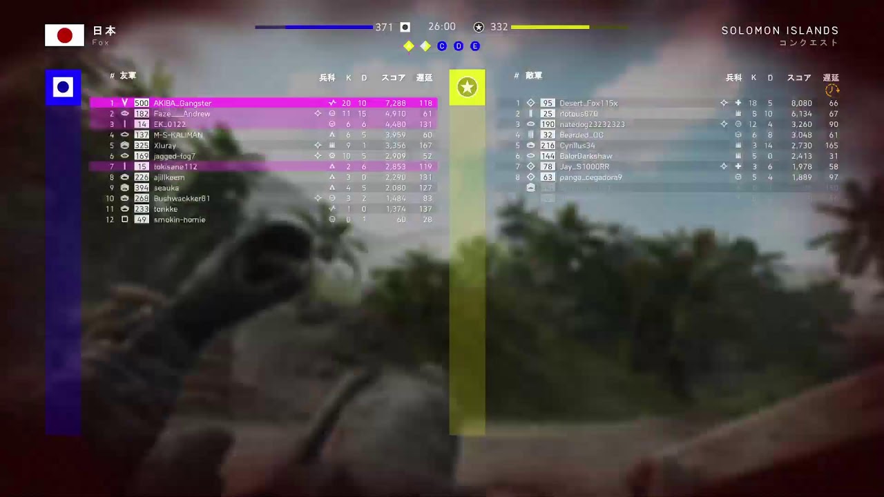 BFV：PS5 　FOV 80  GamePlay