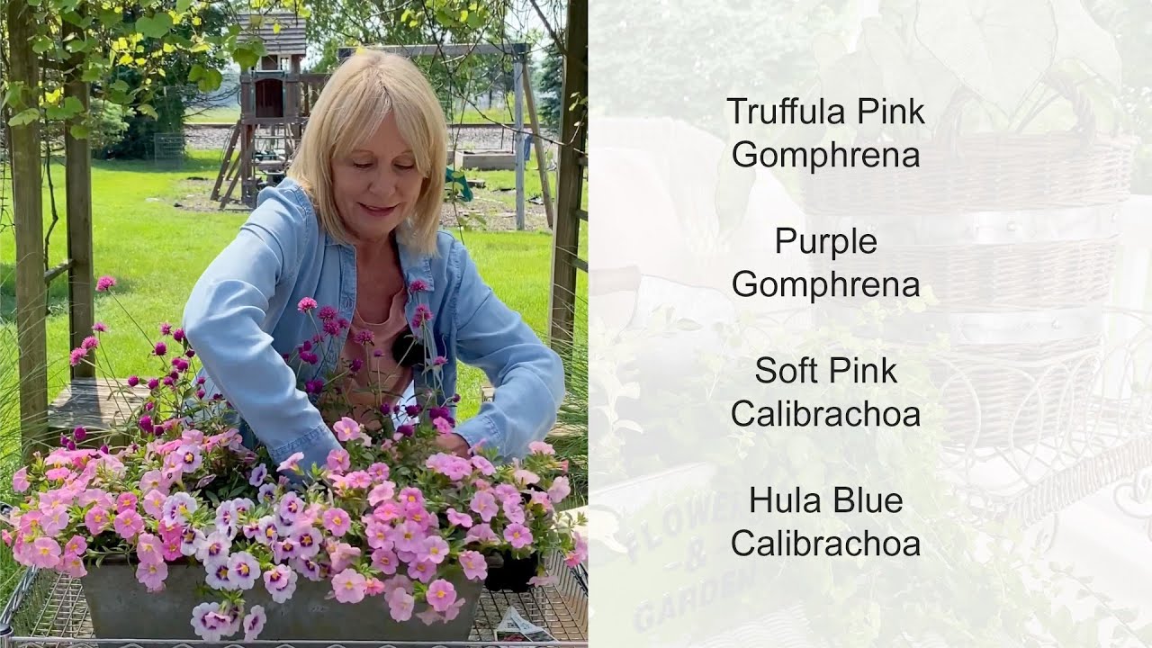 Container flower combination you will love!