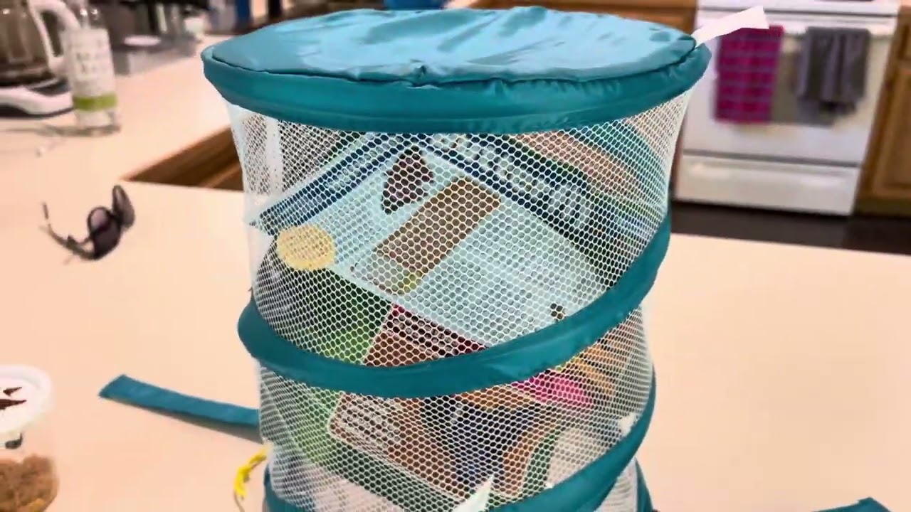 Honest Review of the NATIONAL GEOGRAPHIC Butterfly Growing Kit