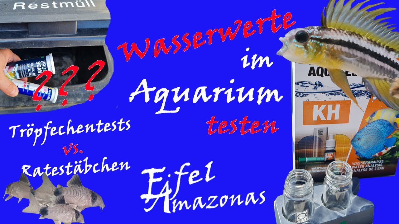 Wasserwerte im Aquarium testen - Tröpfchentests vs. Ratestäbchen