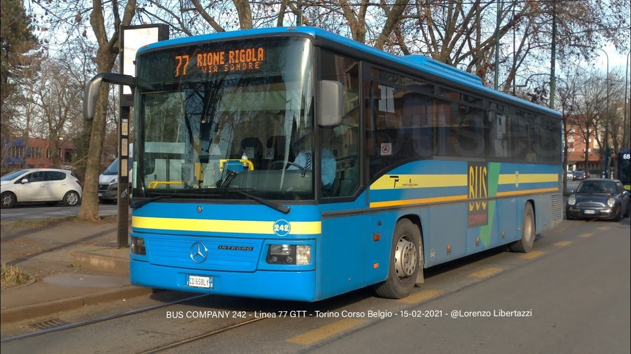 BUS COMPANY 242 - Linea 77 GTT