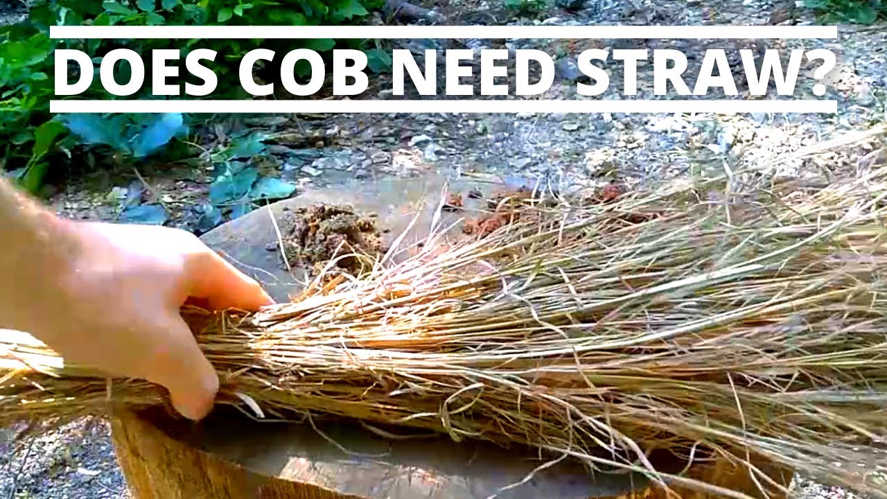 Can You Make Cob Houses Without Straw? (Straw Alternatives)