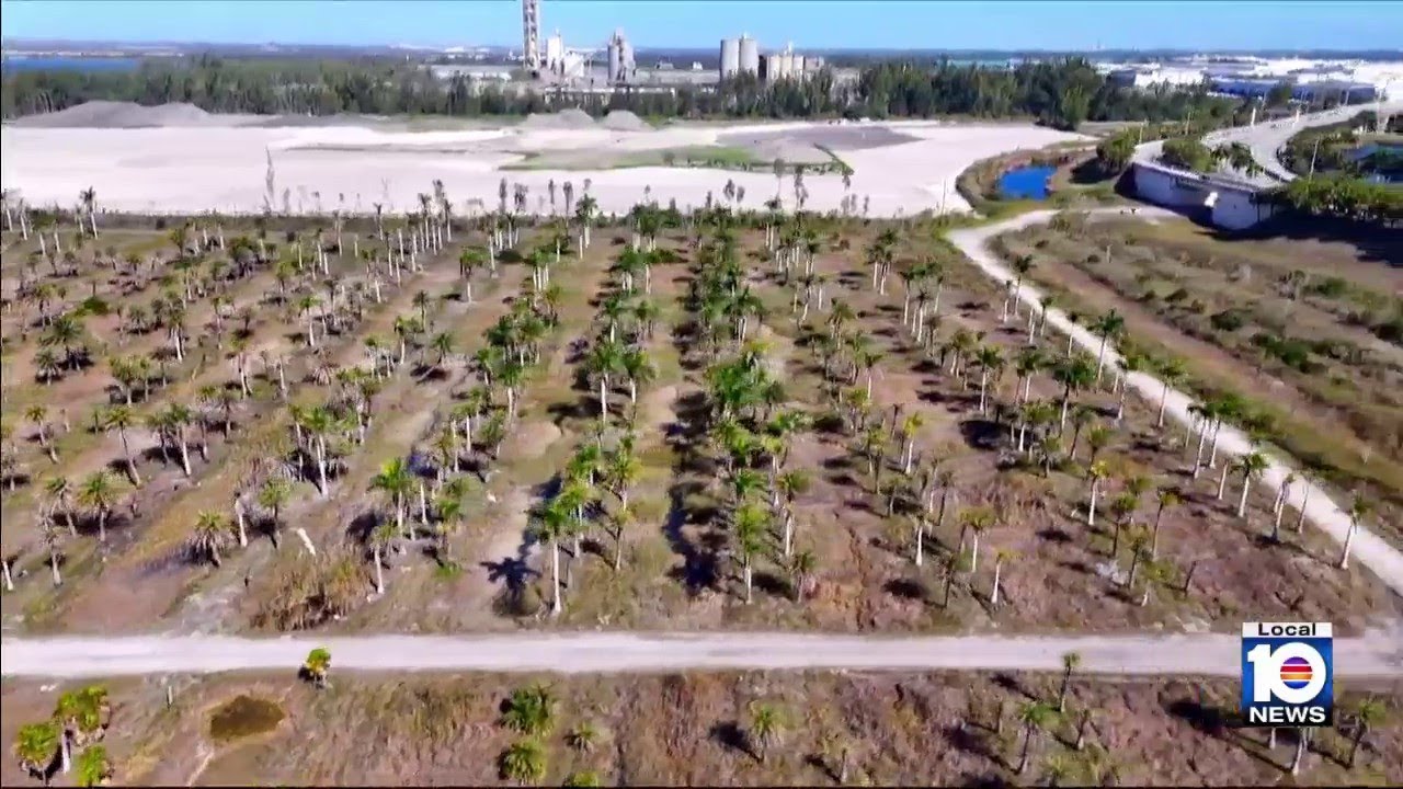 Don't Trash Our Treasure: Miami-Dade mayor takes a stance