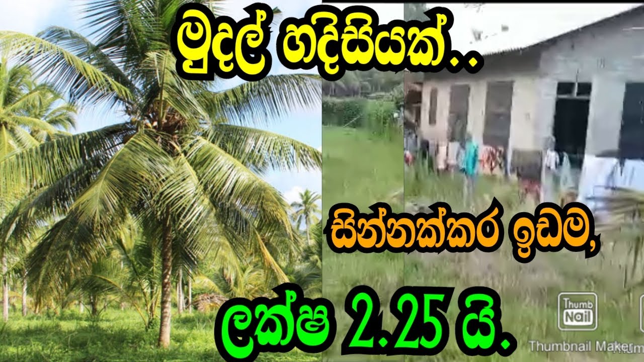 මුදල් හදිසියක් ..ලක්ෂ 2.25 යි .සින්නක්කර ඉඩම .Halawatha land/Podimalli land/www.podimalli.lk