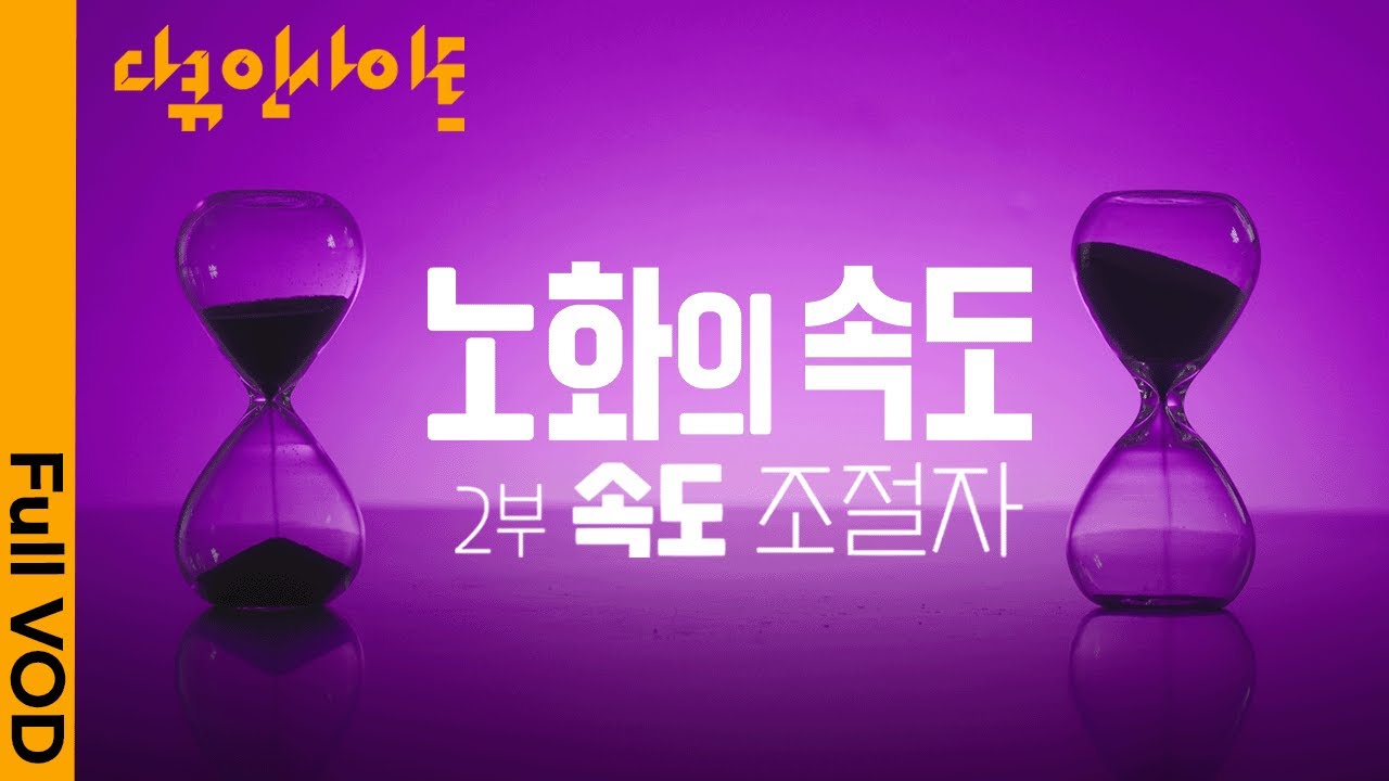 노화 속도를 조절하는 물질이 세상에 있다면? 현대과학으로 풀어봄 ㅣ KBS 다큐인사이트 - 노화의 속도 2부 속도 조절자 25.04.24 방송