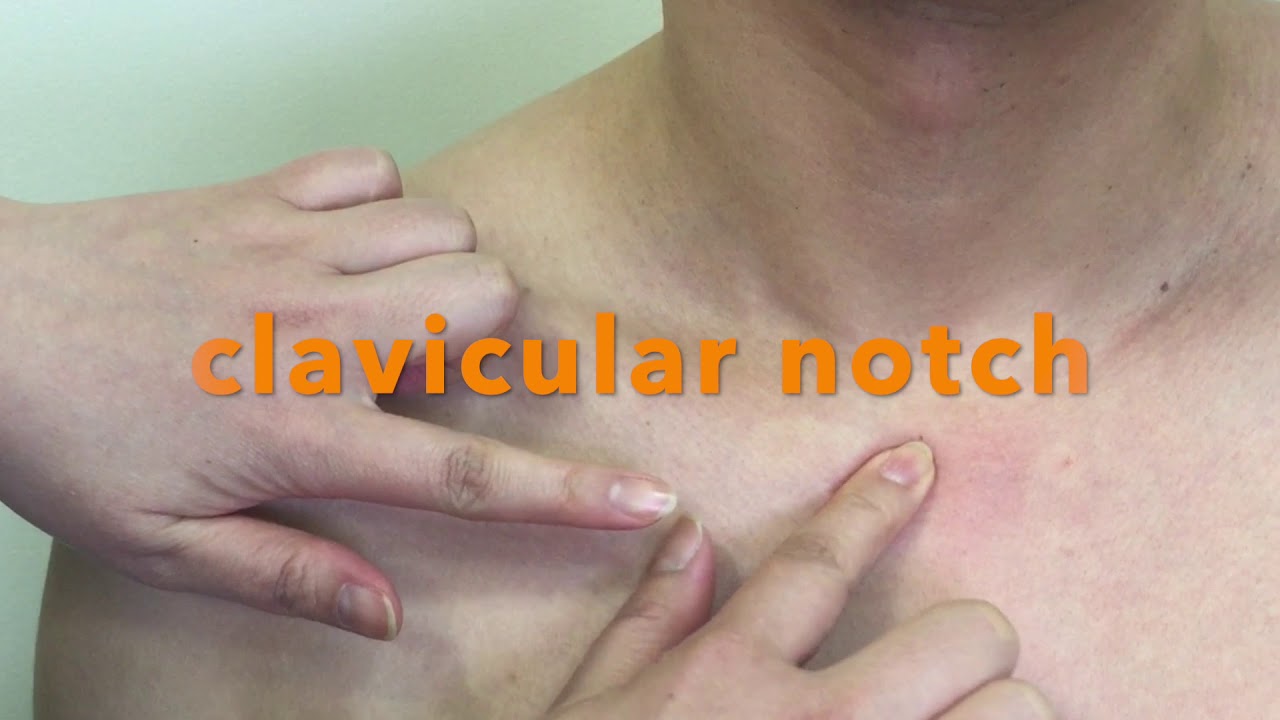 Palpation of bony landmarks on Manubrium and Clavicle.