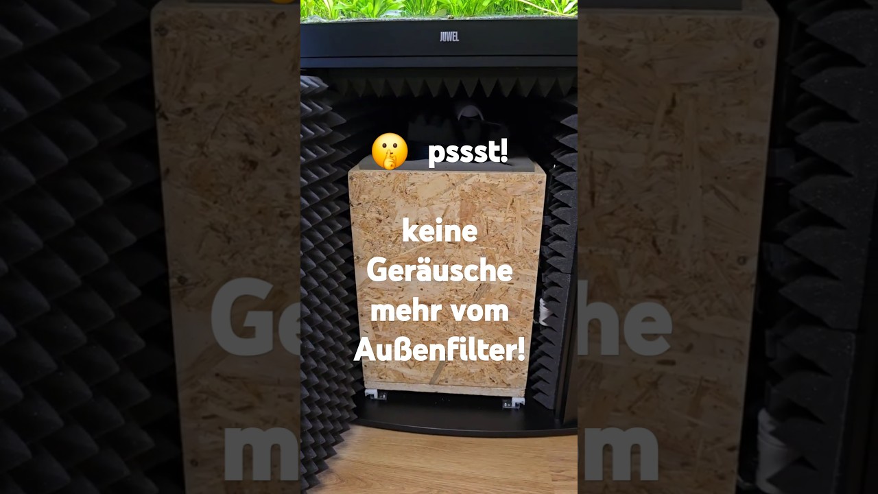 Schalld&auml;mmung f&uuml;r Aquarium Au&szlig;enfilter absolut lautlos! Oase Biomaster 2 thermo