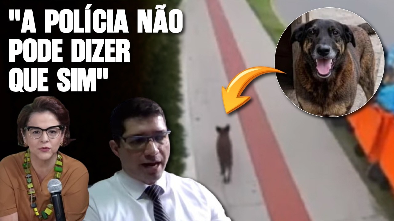 CASO ORELHA: IMAGENS APRESENTADAS PELA DEFESA DO ADOLESCENTE SÃO VERDADEIRAS?