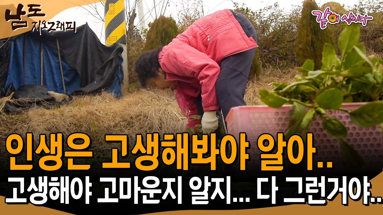 [남도지오그래피] 고생만 하는 것 같아도 다 배움이야.. 그니까 걱정하지 말어.. 인생을 알아가는 거니까 | KBS 2017.02.0