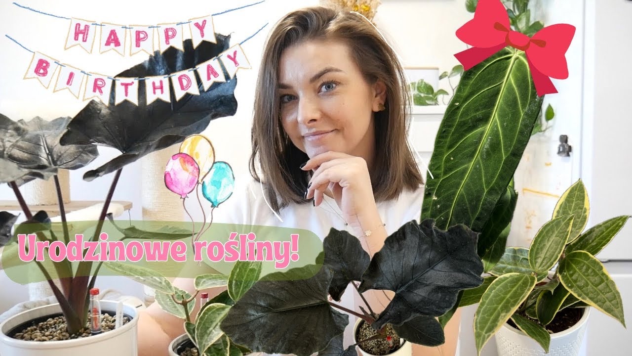 Jakie rośliny dostałam na urodziny?🎁🎉