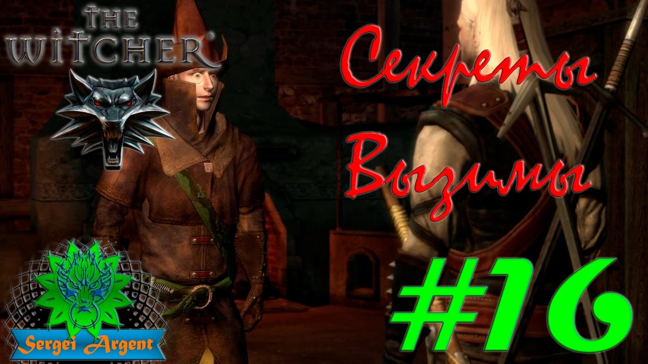 The Witcher (Ведьмак): Секреты Вызимы #16