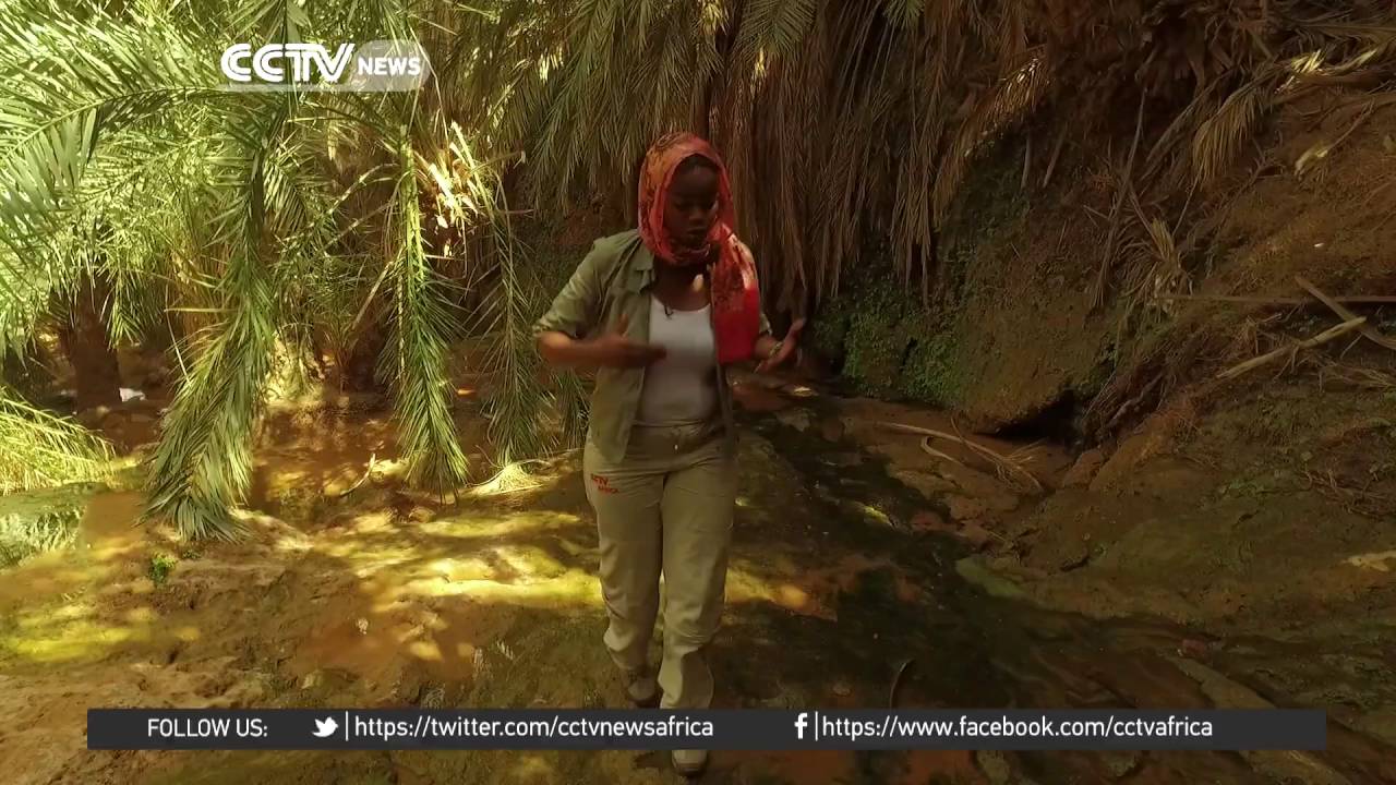 Desert Series: Terjit Oasis - A miraculous desert wonder