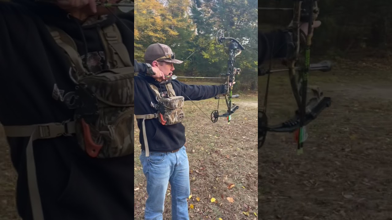 Shooting the Hoyt Torrex