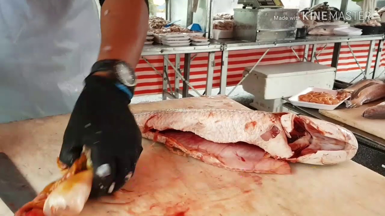 LIMPANDO TRAÍRA FRESCA.....HEHEHE.