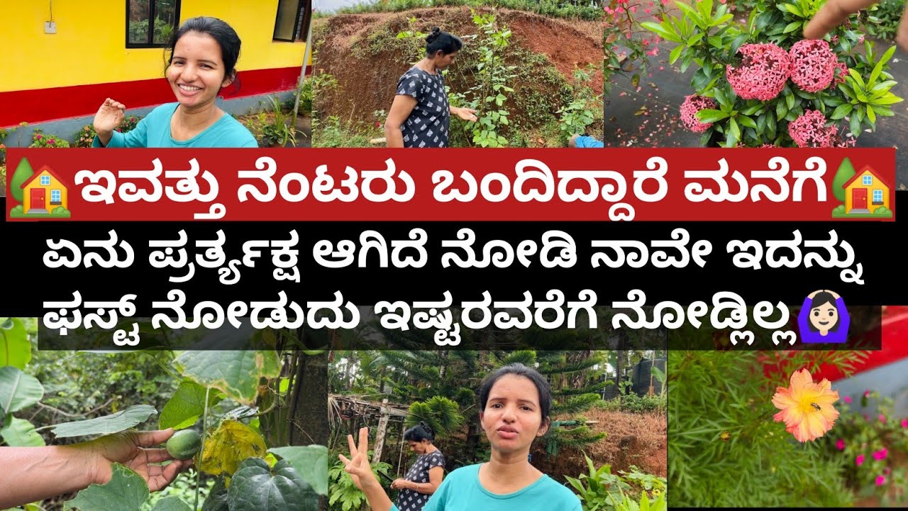 🏡ಇವತ್ತು ನೆಂಟರು ಬಂದಿದ್ದಾರೆ ಮನೆಗೆ🏡|ಏನು ಪ್ರರ್ತ್ಯಕ್ಷ ಆಗಿದೆ ನೋಡಿ ಮಾಡಿನ ಮೇಲೆ ಹೋಗುವವರೆಗೂ ಗೊತ್ತೆ ಆಗ್ಲಿಲ್ಲ🙆‍♀