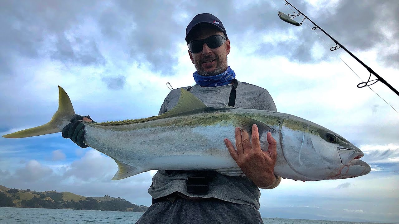 NZ kingfish!