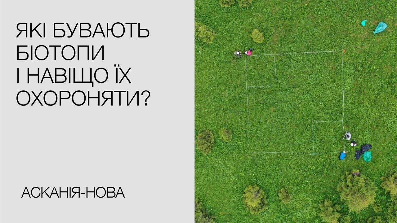 Анна Куземко про біотопи як основу збереження біорізноманіття України