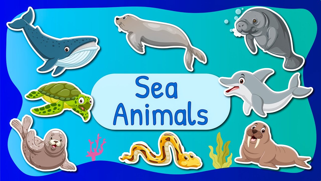 8 Incredible Sea Animals That Cannot Breathe Underwater | Fun and Educational Sea Animal Facts